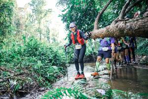 BIB: 
                            <button type="button" onclick="openModal(25459506)" class="btn btn-primary btn-sm float-right btn-popup" data-toggle="modal" data-target=".modal-high-quality">
                        <i class="fas fa-shopping-cart"></i> Add to Cart
                    </button>
                                            <button type="button" onclick="isThisMe(25459506, true)" class="btn btn-success btn-sm float-right btn-popup btn-isme hidden" data-toggle="tooltip" data-placement="bottom" title="นี่คือรูปของคุณใช่ไหม คลิกที่นี่เพื่อเอาเข้าอัลบั้ม">
                        <i class="fas fa-plus"></i> Add to album
                    </button>
                    <button type="button" onclick="isThisMe(25459506, false)" class="btn btn-warning btn-sm float-right btn-popup btn-isnotme hidden">
                        <i class="fas fa-ban"></i> Remove from album
                    </button>